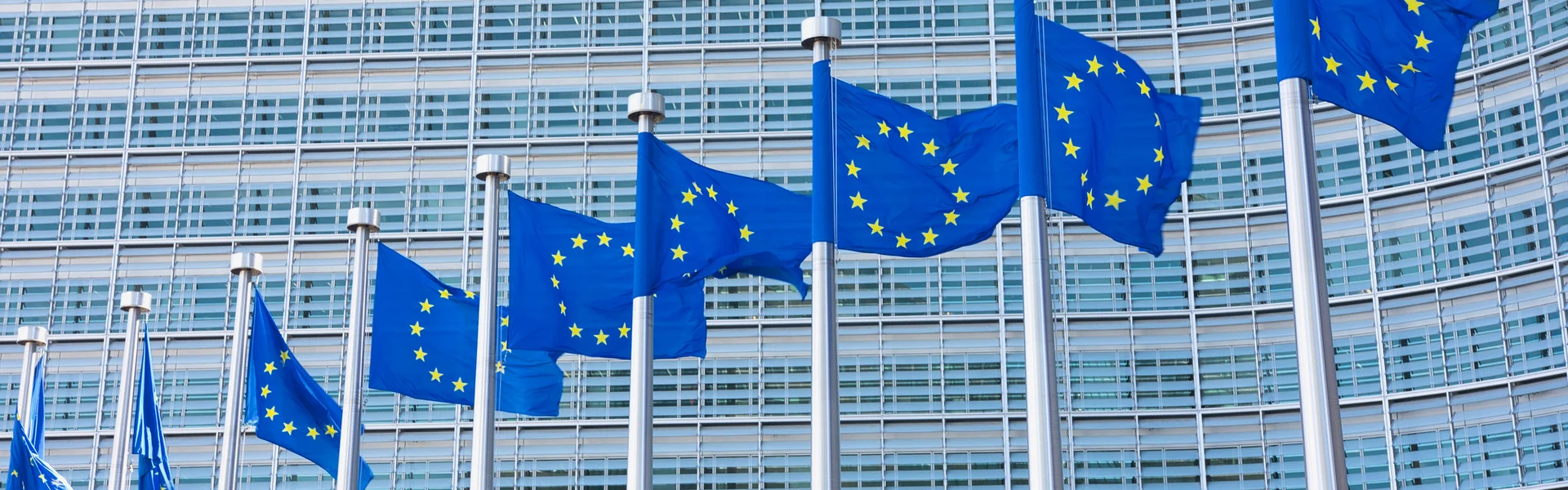 Bild p&aring; EU-flaggor