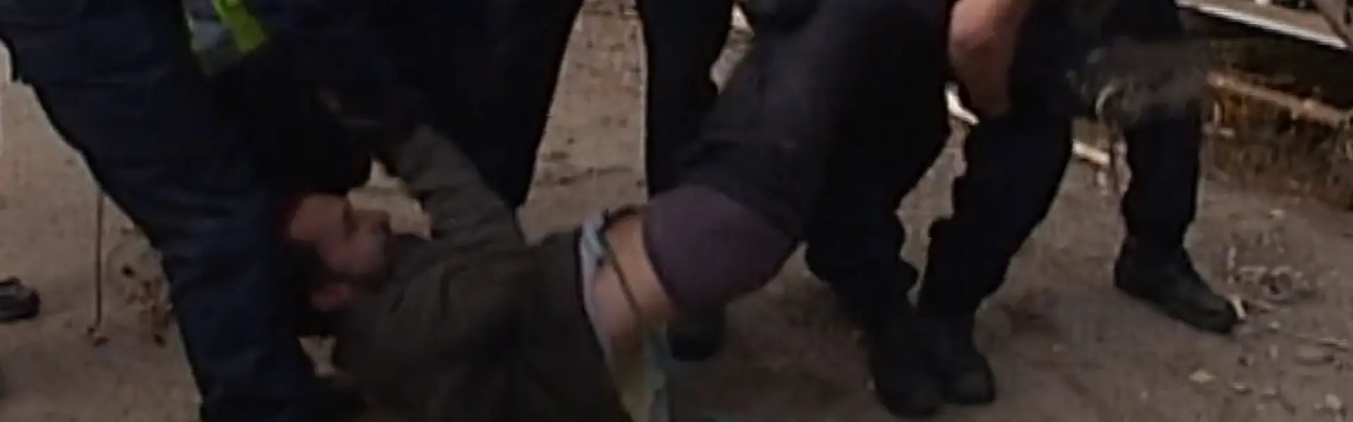 Poliser sl&auml;par bort demonstrant