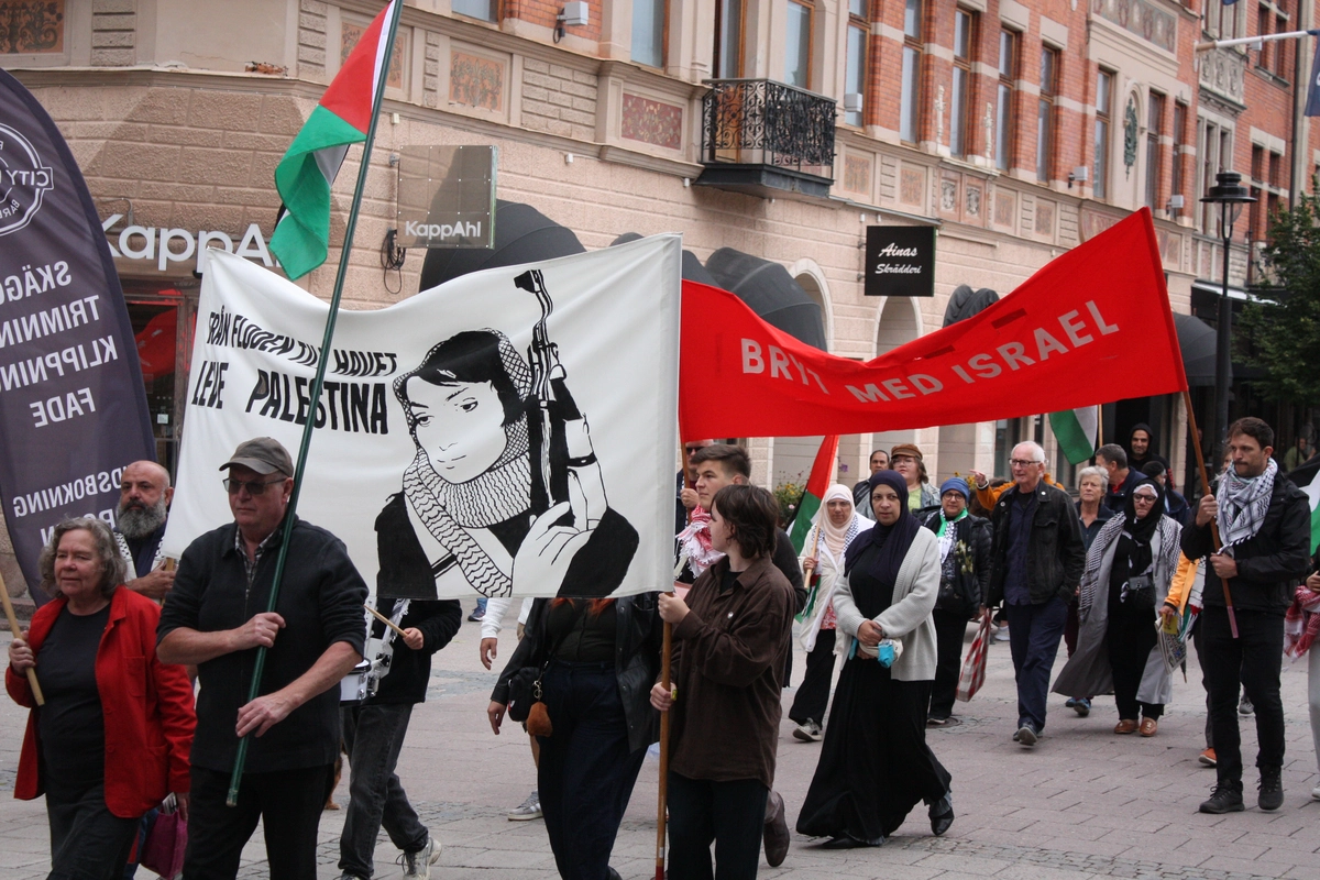 Bild p&aring; solidaritetsdemonstration i Sundsvall